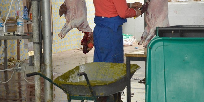 Aïd el Kebir Cuers 2015