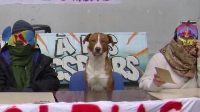 Tolbiac chien-lit
