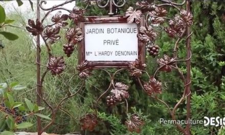 A Gassin, elle a sauvé un lieu incroyable