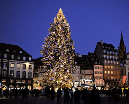 Sapin Noël Strasbourg