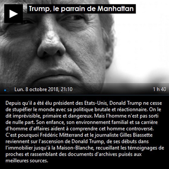 France3 Trump Parrain Manhattan