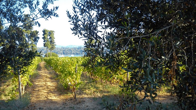 Abbaye Lérins