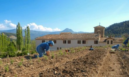 Les produits de l’abbaye de Rosans : salade de fruits, jolie jolie jolie…