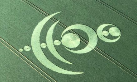Pourquoi les agroglyphes font-ils peur ?