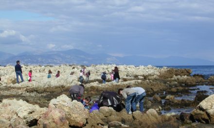 Méditerranée 2000 : 30 ans déjà