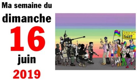 Ma bonne semaine de mauvaise foi (16 juin 2019)