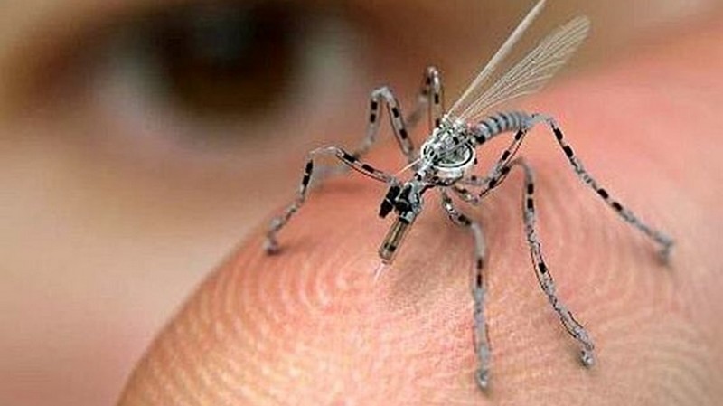 Insecte biométrique