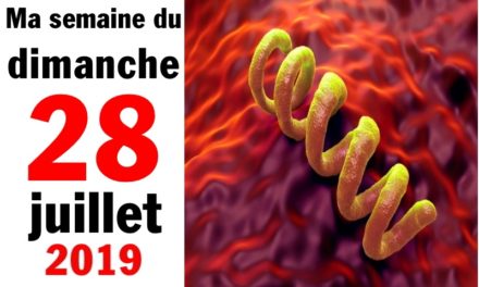 Ma bonne semaine de mauvaise foi (28 juillet 2019)