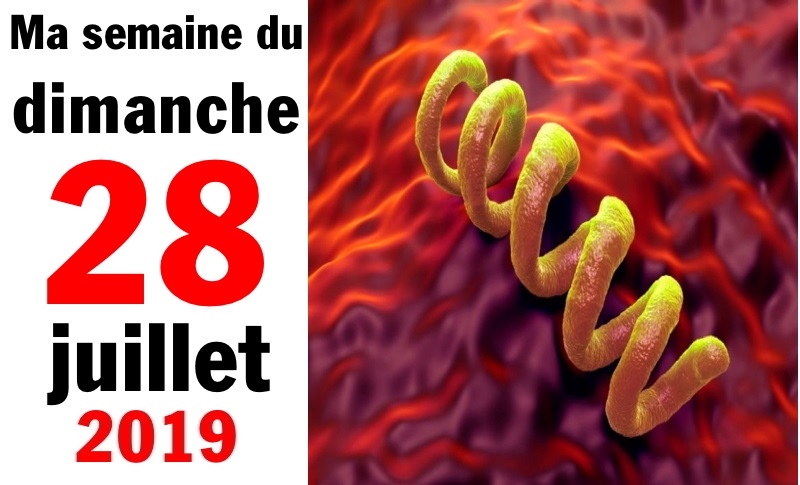 Semaine 28 juillet 2019 Semaine 28 juillet 2019
