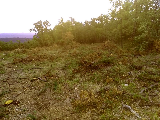 Forêt communale Tourrettes abattage ONF août 2019