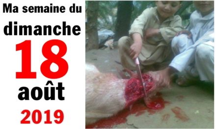 Ma bonne semaine de mauvaise foi (18 août 2019)
