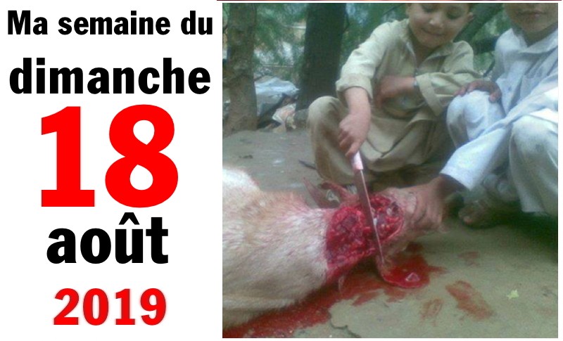 Ma semaine 18 août 2019