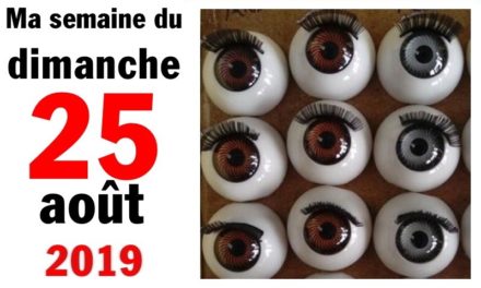 Ma bonne semaine de mauvaise foi (25 août 2019)