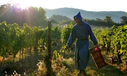 Les pépites monastiques ensoleillées de l’abbaye du Barroux