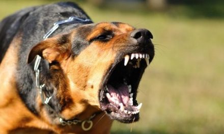 De la victimisation à l’intimidation