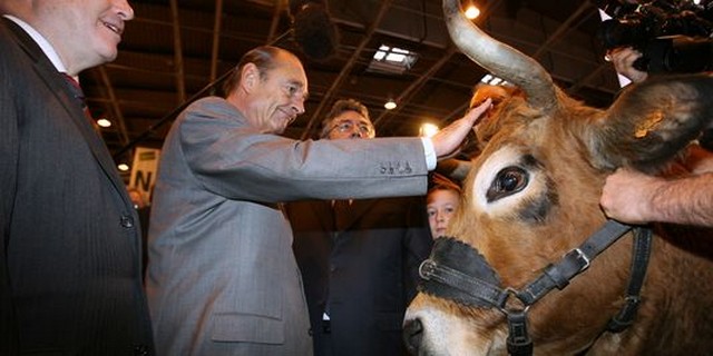 Chirac - concours agricole - vache