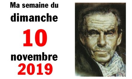 Ma bonne semaine de mauvaise foi (10 novembre 2019)