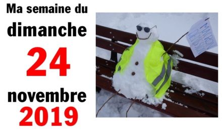 Ma bonne semaine de mauvaise foi (24 novembre 2019)