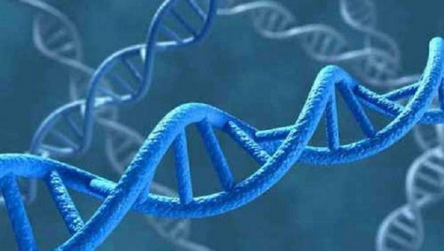 Génétique - ADN