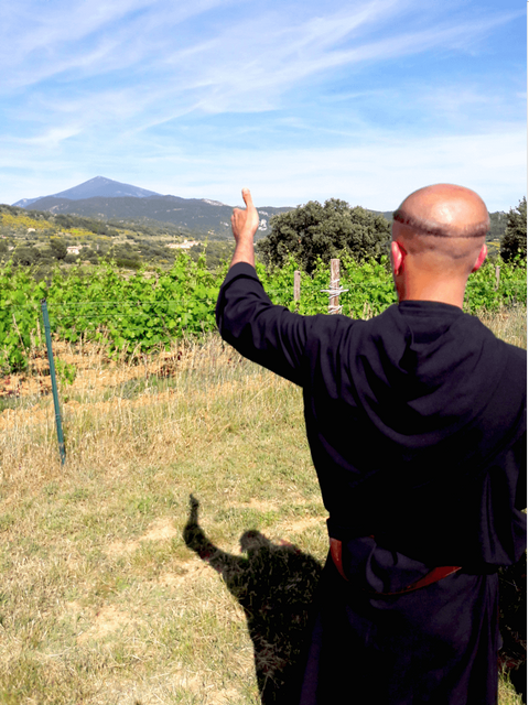 Un moine bénédictin au travail dans la vigne du Barroux