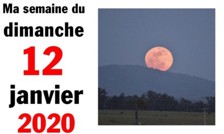 Ma bonne semaine de mauvaise foi (12 janvier 2020)