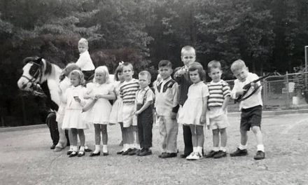 Du « baby boom » au « zéro baby »