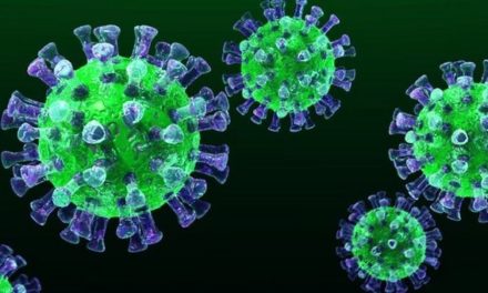 Vaccin Actu, numéro décembre 2025
