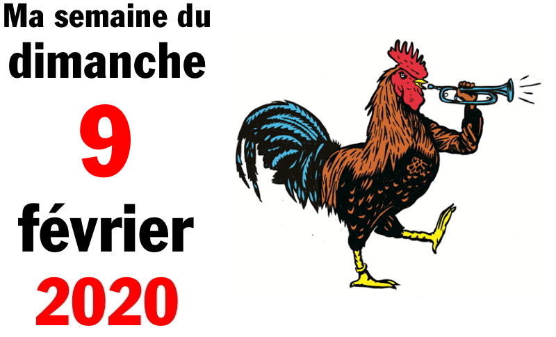 Semaine 8 février 2020