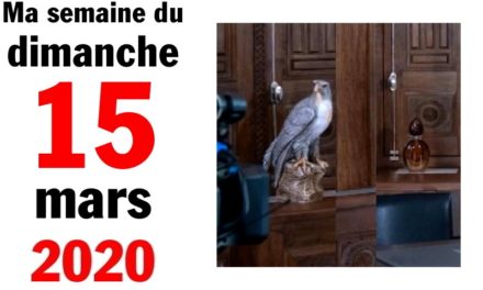 Ma bonne semaine de mauvaise foi (15 mars 2020)