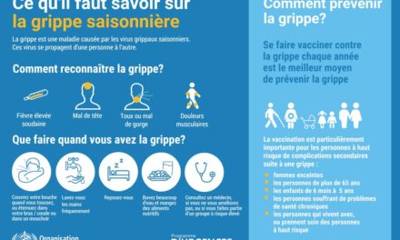 Mais où est passée la grippe saisonnière ?