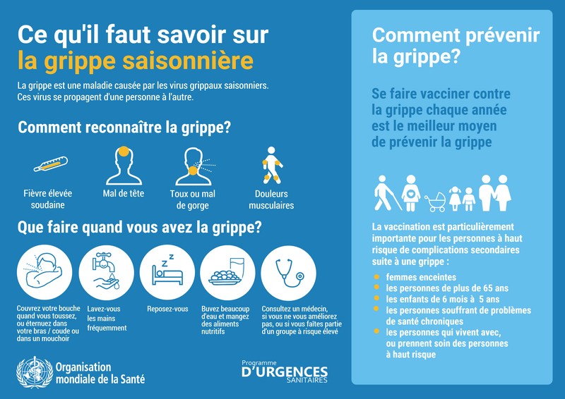 Grippe saisonnière Grippe saisonnière