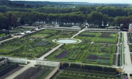 Trouvez un bout de jardin et faites votre potager !