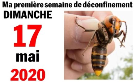 Ma bonne semaine de mauvaise foi (17 mai 2020)