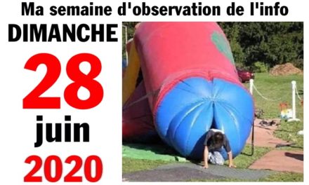 Ma bonne semaine de mauvaise foi (28 juin 2020)