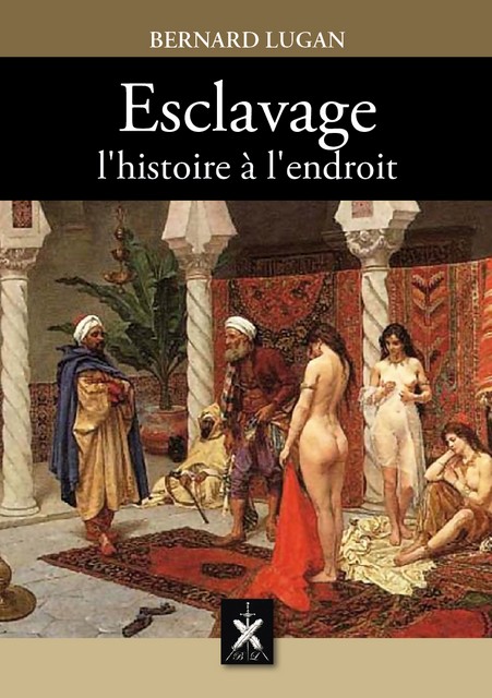 Bernard Lugan - Esclavage - Histoire endroit