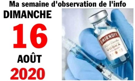 Ma semaine d’observation de l’info (16 août 2020)