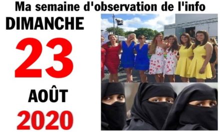 Ma semaine d’observation de l’info (23 août 2020)