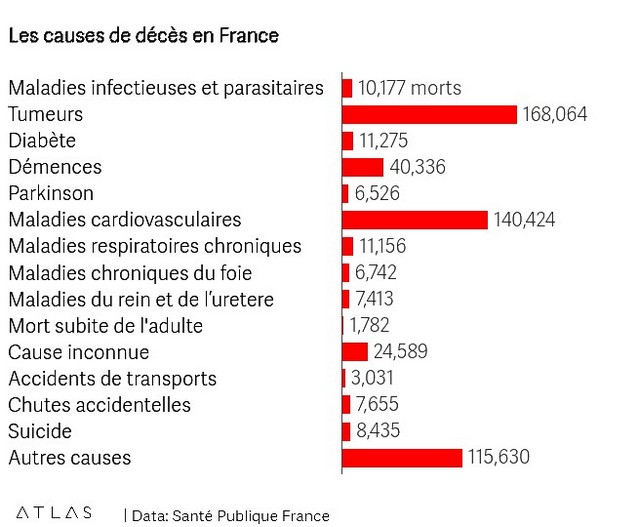 Causes décès France