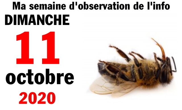 Semaine 11 octobre 2020 Semaine 11 octobre 2020