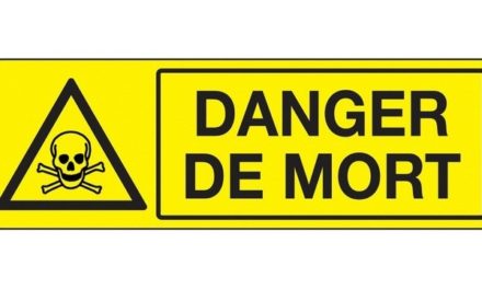 Fondamentalisme islamique : danger de mort pour la France