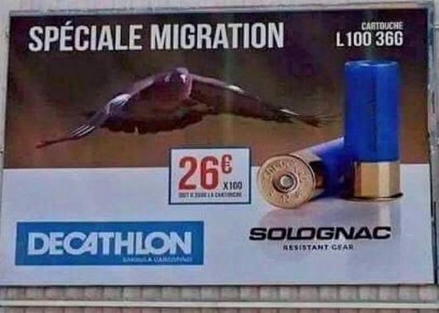Décathlon - Migration