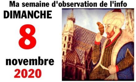 Ma semaine d’observation de l’info (8 novembre 2020)