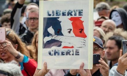 Bonne année aux deux France