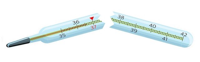 Température – Thermomètre cassé Température - Thermomètre cassé