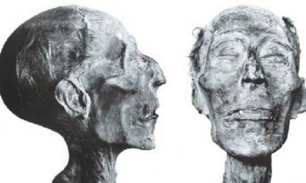 <span class="dquo">«</span> Momies shows » : la malédiction des pharaons ?