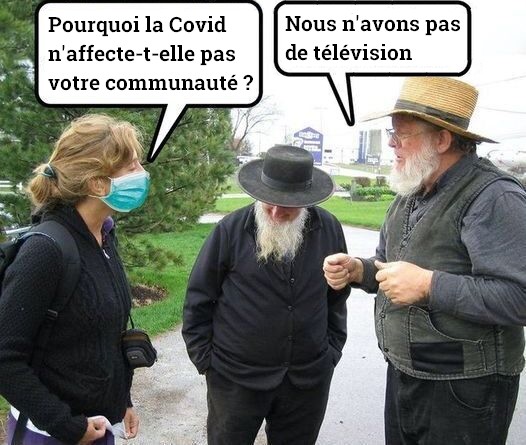 Amish et Covid