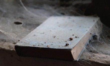 Nice Matin ressort les reliques de gauche pour sauver le passeport numérique